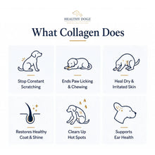 Pet Dog Collagen Drops