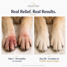 Pet Dog Collagen Drops