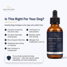 Pet Dog Collagen Drops