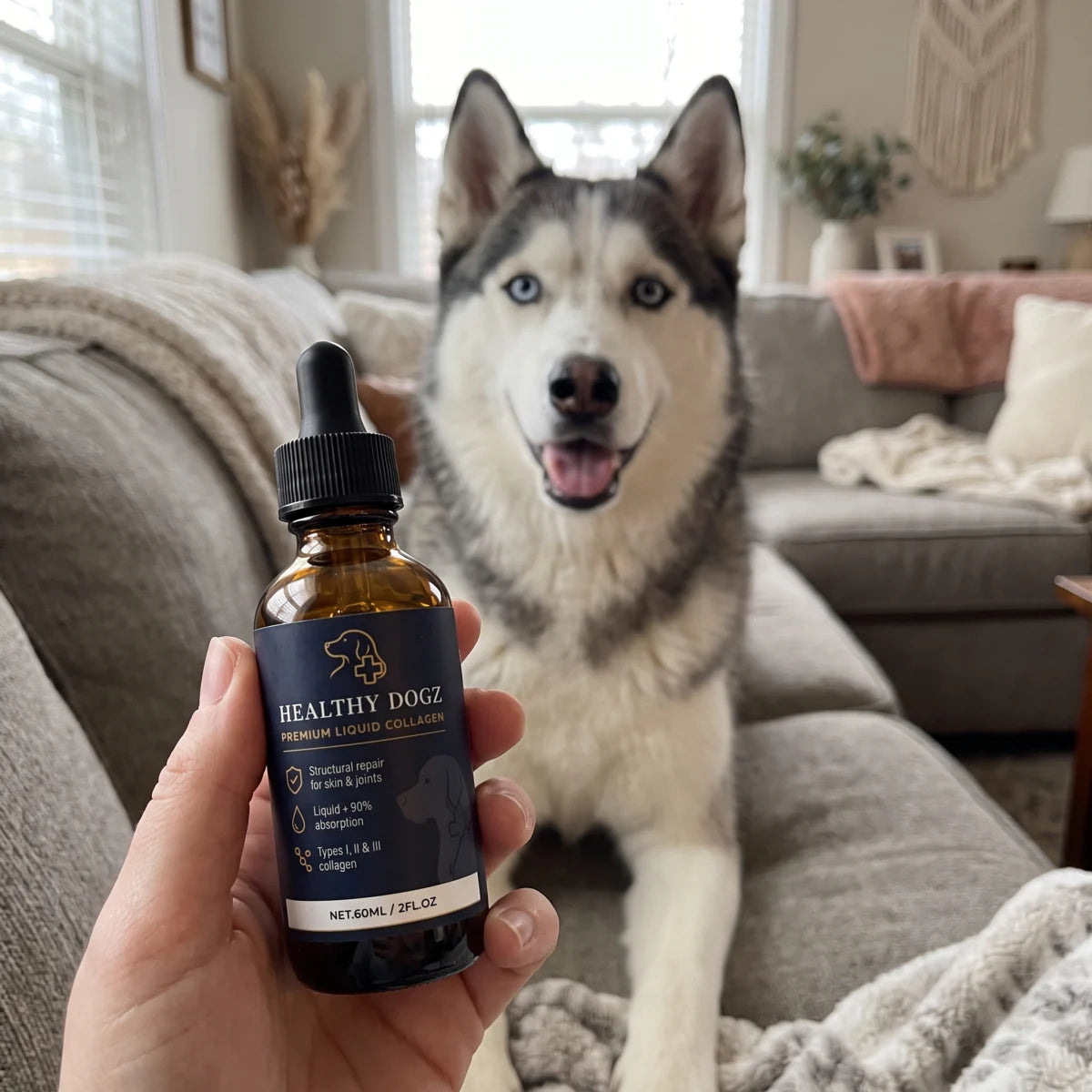 Hand holding Healthy Dogz liquid collagen bottle in front of a happy husky on a couch