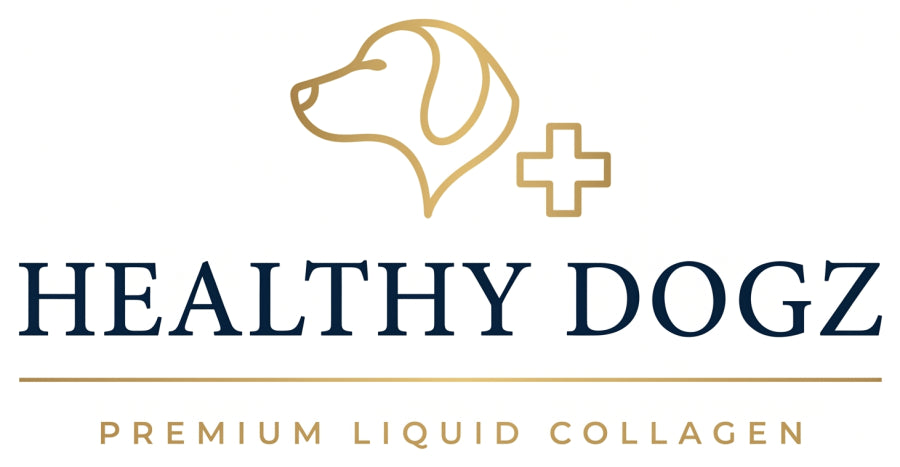 Healthy Dogz — Premium Liquid Collagen for Dogs