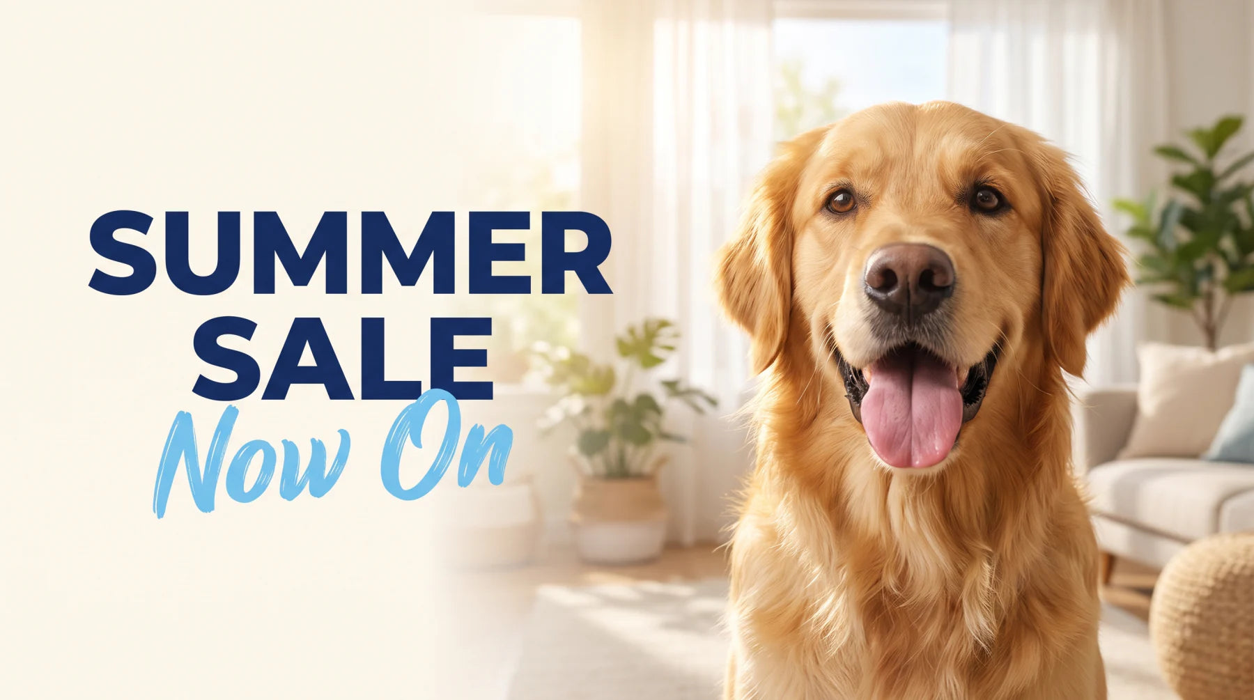 Happy golden retriever — Healthy Dogz liquid collagen summer sale